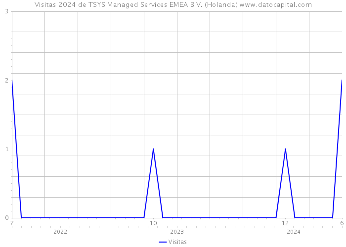 Visitas 2024 de TSYS Managed Services EMEA B.V. (Holanda) 