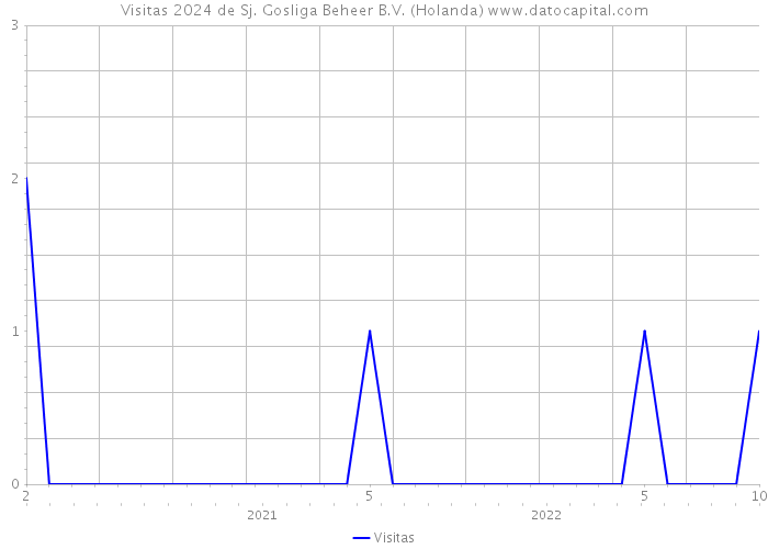 Visitas 2024 de Sj. Gosliga Beheer B.V. (Holanda) 