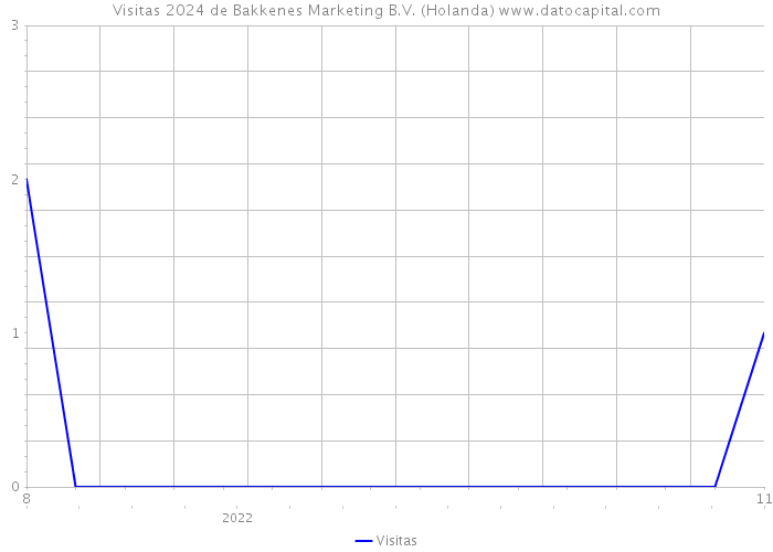 Visitas 2024 de Bakkenes Marketing B.V. (Holanda) 