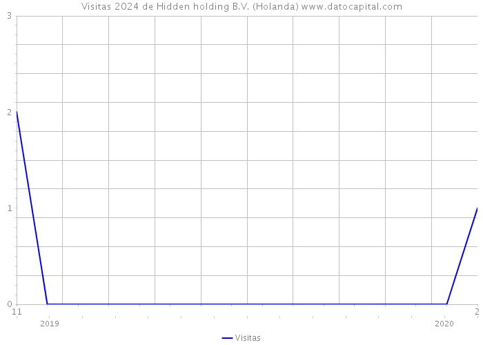 Visitas 2024 de Hidden holding B.V. (Holanda) 