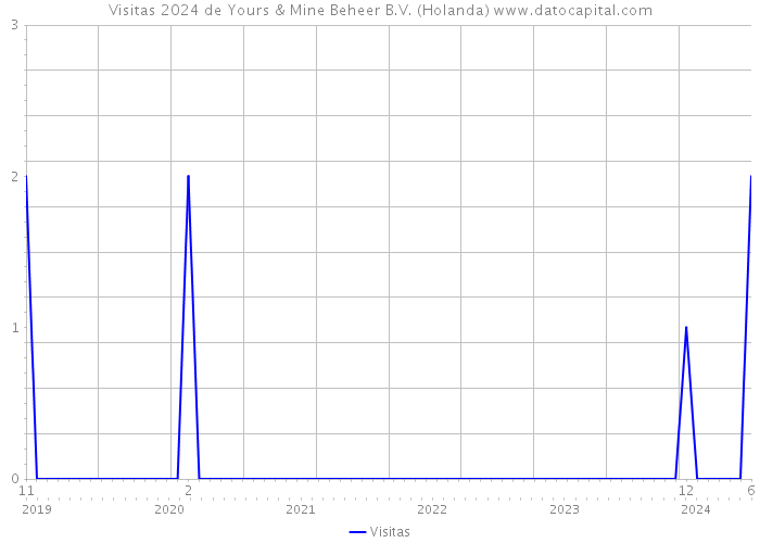 Visitas 2024 de Yours & Mine Beheer B.V. (Holanda) 