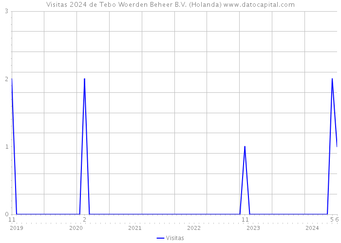 Visitas 2024 de Tebo Woerden Beheer B.V. (Holanda) 