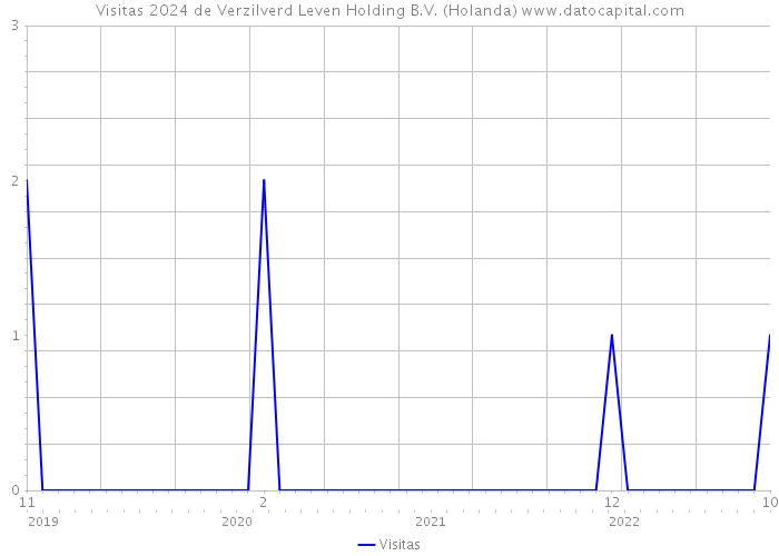 Visitas 2024 de Verzilverd Leven Holding B.V. (Holanda) 