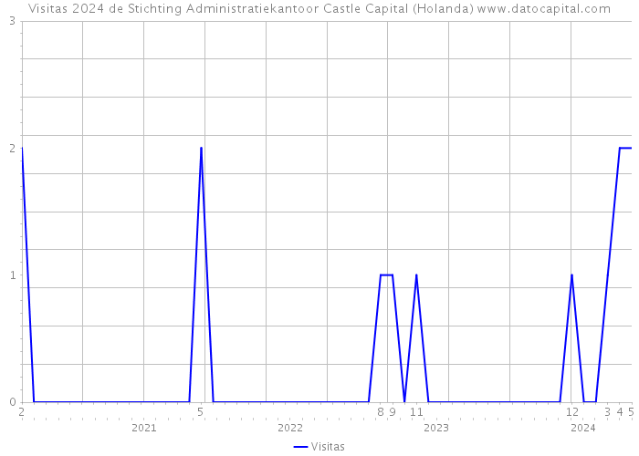 Visitas 2024 de Stichting Administratiekantoor Castle Capital (Holanda) 