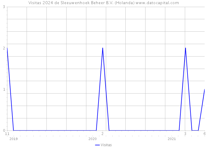 Visitas 2024 de Sleeuwenhoek Beheer B.V. (Holanda) 