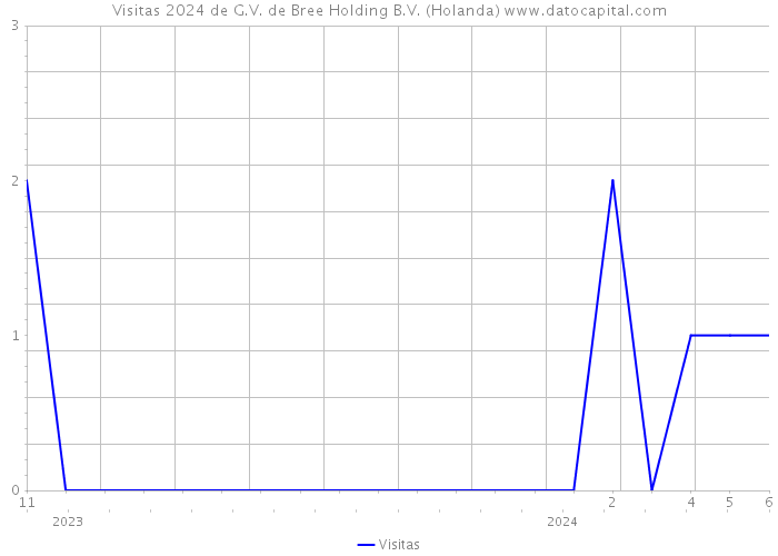 Visitas 2024 de G.V. de Bree Holding B.V. (Holanda) 