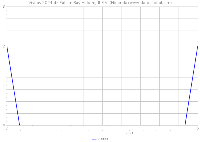 Visitas 2024 de Falcon Bay Holding II B.V. (Holanda) 