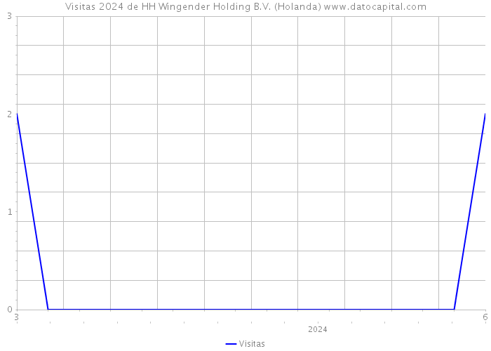 Visitas 2024 de HH Wingender Holding B.V. (Holanda) 