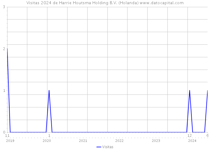 Visitas 2024 de Harrie Houtsma Holding B.V. (Holanda) 