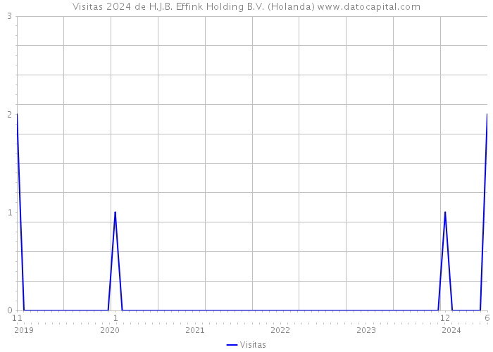 Visitas 2024 de H.J.B. Effink Holding B.V. (Holanda) 