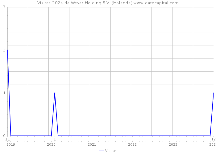 Visitas 2024 de Wever Holding B.V. (Holanda) 