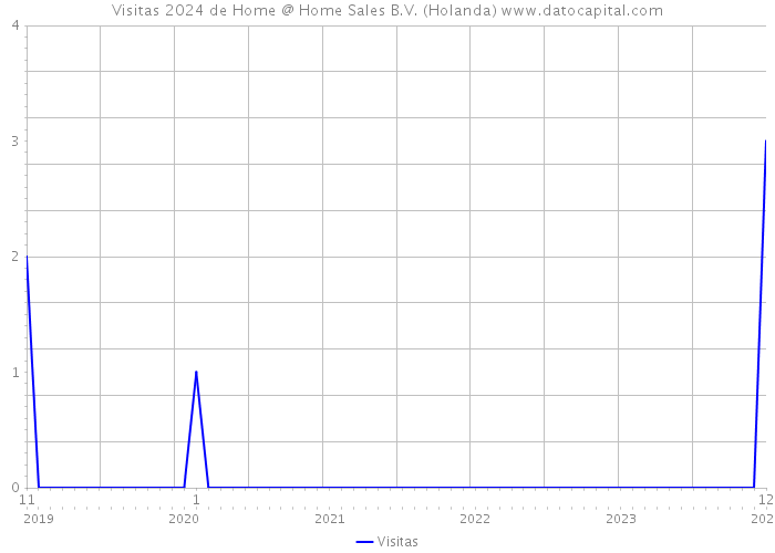Visitas 2024 de Home @ Home Sales B.V. (Holanda) 