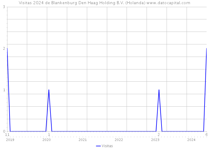 Visitas 2024 de Blankenburg Den Haag Holding B.V. (Holanda) 