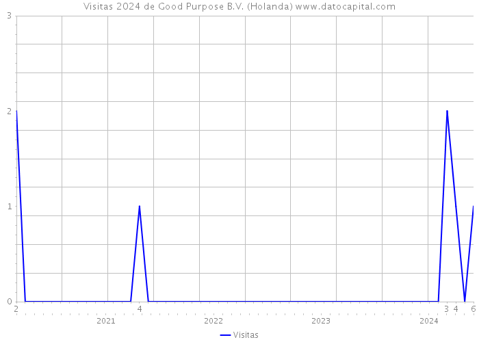 Visitas 2024 de Good Purpose B.V. (Holanda) 