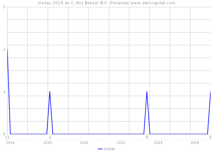 Visitas 2024 de C. Bos Beheer B.V. (Holanda) 