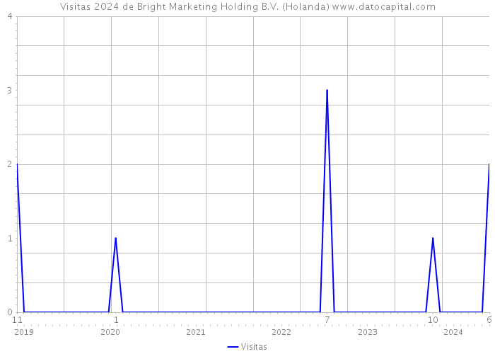 Visitas 2024 de Bright Marketing Holding B.V. (Holanda) 