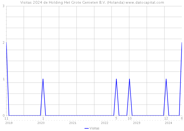 Visitas 2024 de Holding Het Grote Genieten B.V. (Holanda) 