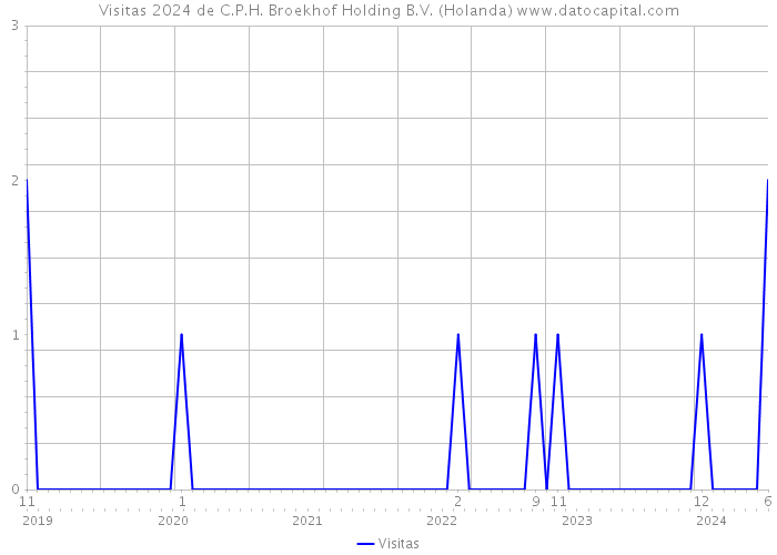 Visitas 2024 de C.P.H. Broekhof Holding B.V. (Holanda) 