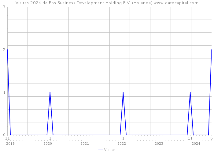 Visitas 2024 de Bos Business Development Holding B.V. (Holanda) 