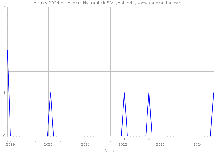 Visitas 2024 de Habets Hydrauliek B.V. (Holanda) 