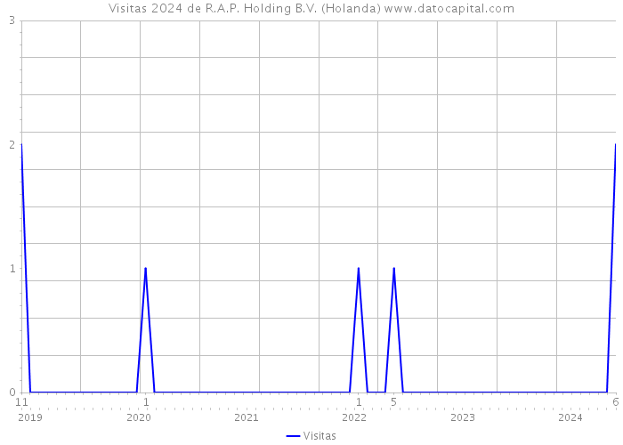 Visitas 2024 de R.A.P. Holding B.V. (Holanda) 