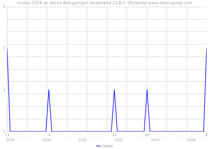 Visitas 2024 de Akron Beleggingen Nederland 22 B.V. (Holanda) 