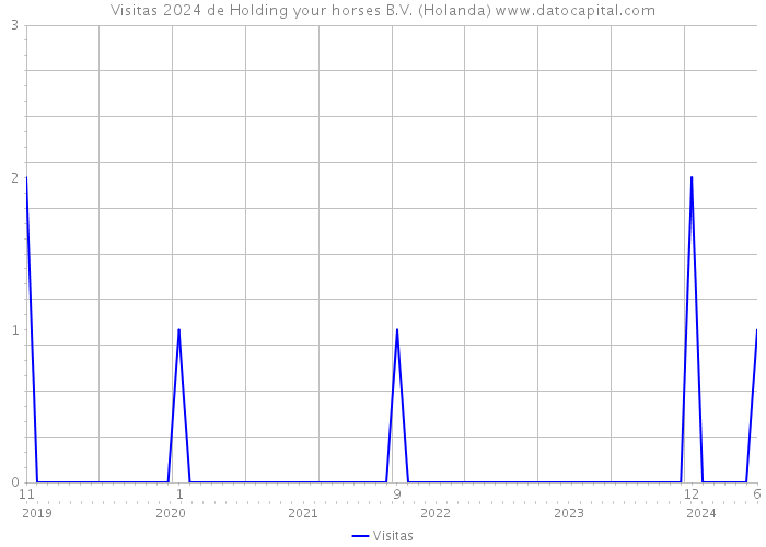 Visitas 2024 de Holding your horses B.V. (Holanda) 