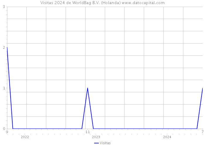 Visitas 2024 de WorldBag B.V. (Holanda) 