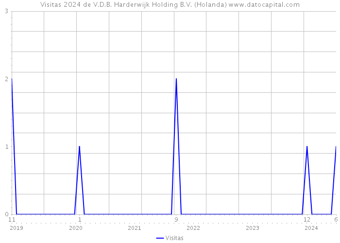 Visitas 2024 de V.D.B. Harderwijk Holding B.V. (Holanda) 