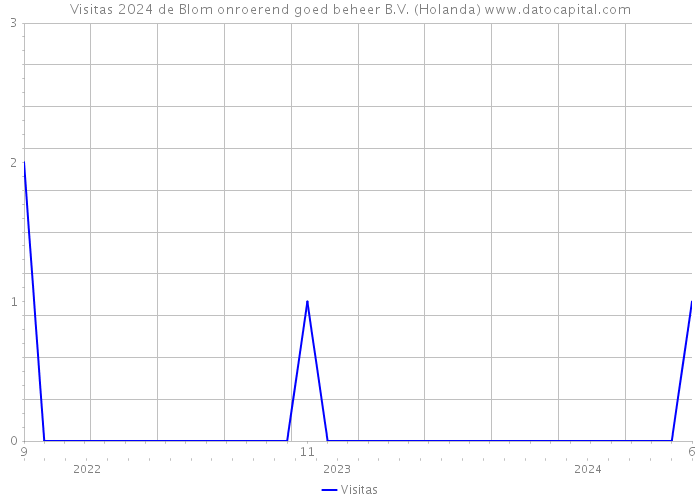 Visitas 2024 de Blom onroerend goed beheer B.V. (Holanda) 