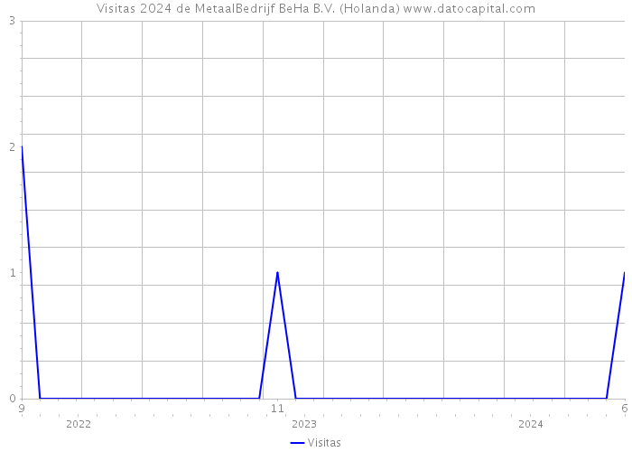 Visitas 2024 de MetaalBedrijf BeHa B.V. (Holanda) 