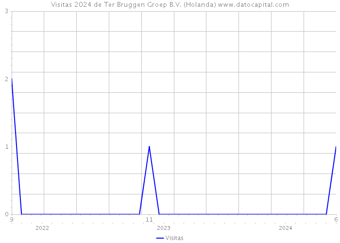 Visitas 2024 de Ter Bruggen Groep B.V. (Holanda) 