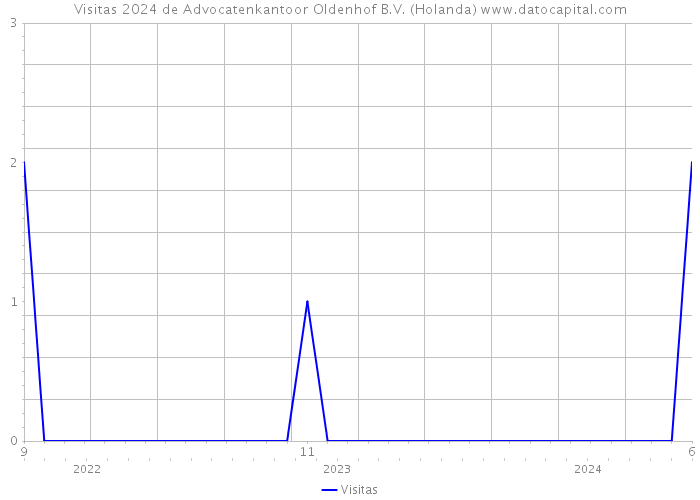 Visitas 2024 de Advocatenkantoor Oldenhof B.V. (Holanda) 