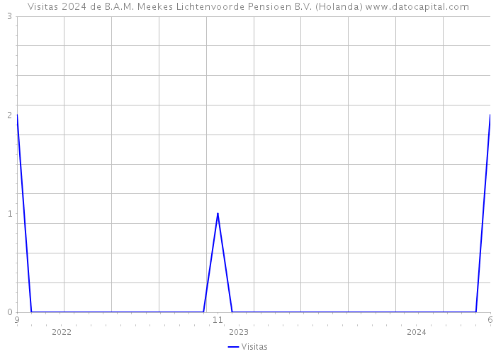 Visitas 2024 de B.A.M. Meekes Lichtenvoorde Pensioen B.V. (Holanda) 