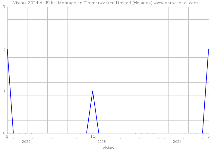 Visitas 2024 de Ekkel Montage en Timmerwerken Limited (Holanda) 