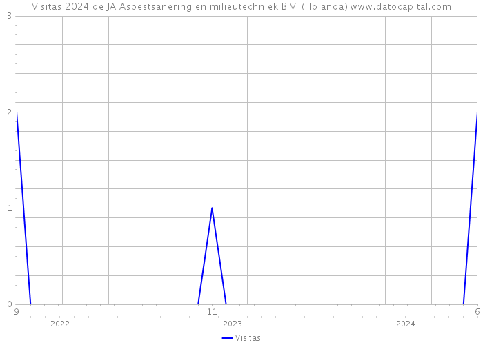 Visitas 2024 de JA Asbestsanering en milieutechniek B.V. (Holanda) 