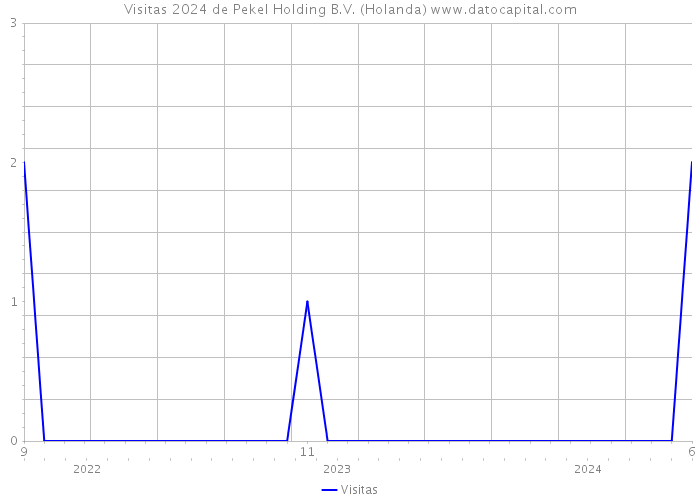 Visitas 2024 de Pekel Holding B.V. (Holanda) 