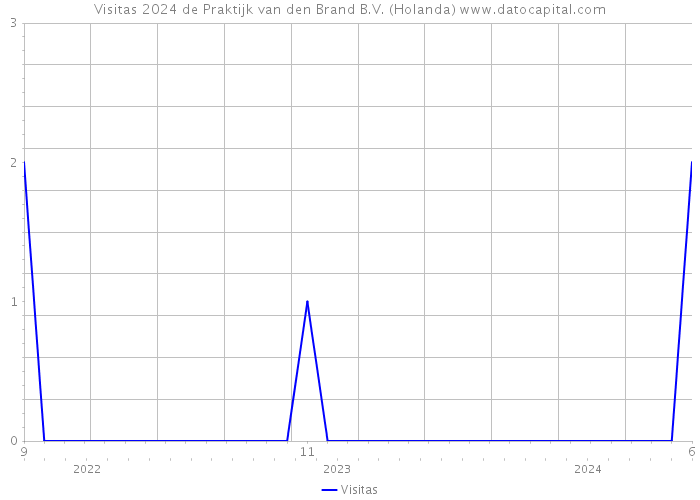 Visitas 2024 de Praktijk van den Brand B.V. (Holanda) 