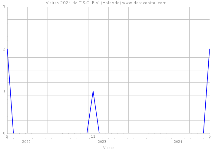 Visitas 2024 de T.S.O. B.V. (Holanda) 