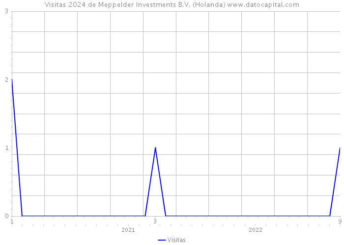 Visitas 2024 de Meppelder Investments B.V. (Holanda) 