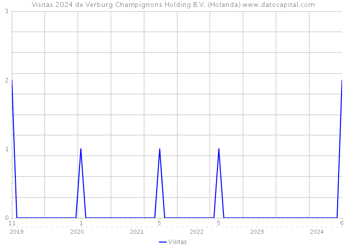 Visitas 2024 de Verburg Champignons Holding B.V. (Holanda) 