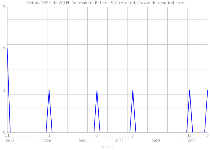 Visitas 2024 de W.J.H. Raemakers Beheer B.V. (Holanda) 