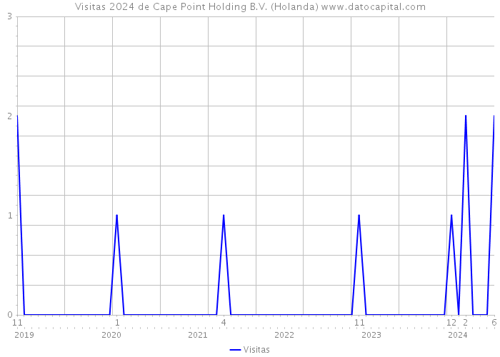 Visitas 2024 de Cape Point Holding B.V. (Holanda) 