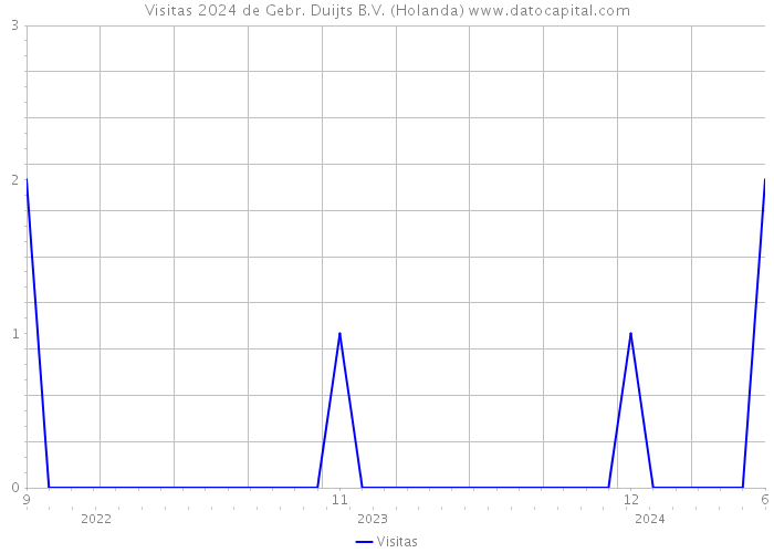 Visitas 2024 de Gebr. Duijts B.V. (Holanda) 