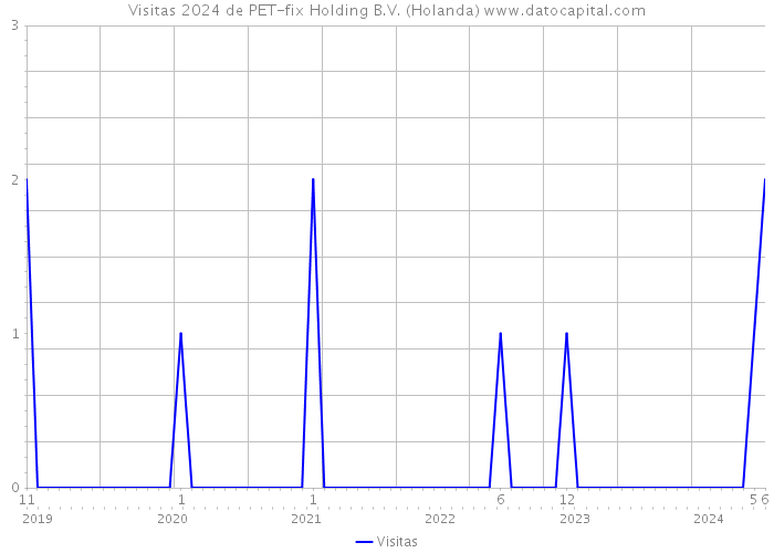 Visitas 2024 de PET-fix Holding B.V. (Holanda) 