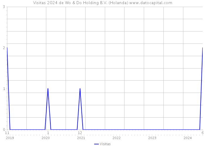 Visitas 2024 de Wo & Do Holding B.V. (Holanda) 