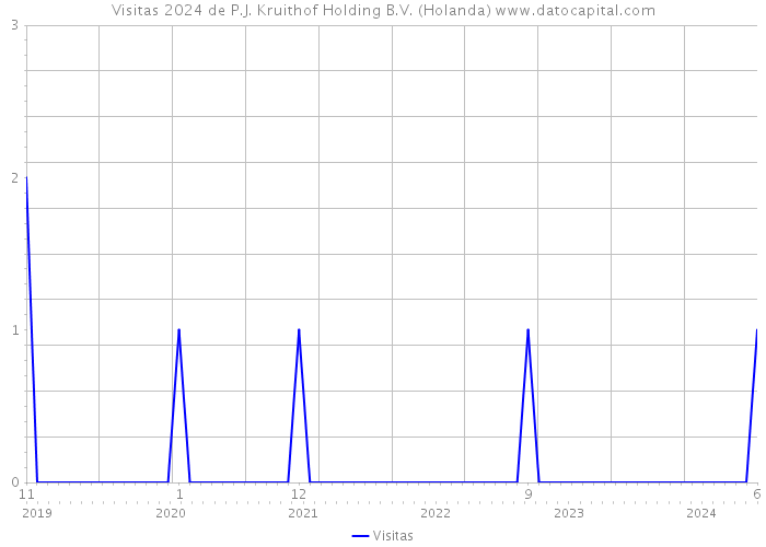 Visitas 2024 de P.J. Kruithof Holding B.V. (Holanda) 