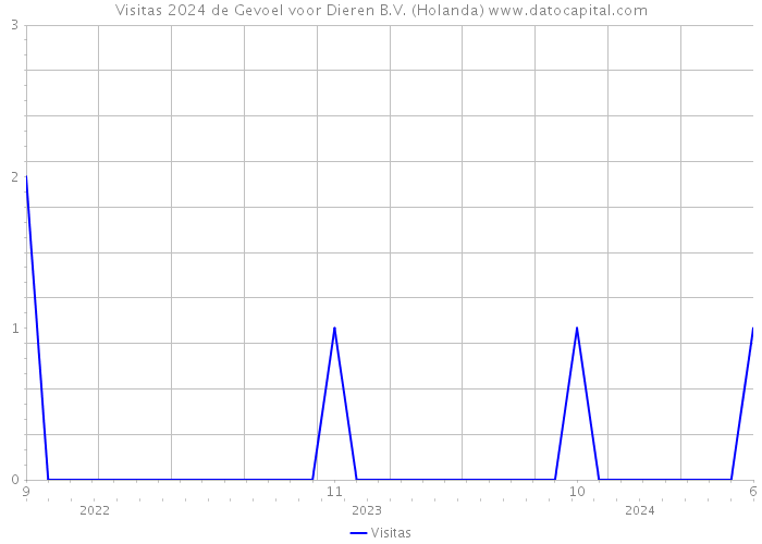 Visitas 2024 de Gevoel voor Dieren B.V. (Holanda) 