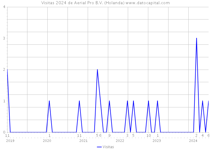 Visitas 2024 de Aerial Pro B.V. (Holanda) 