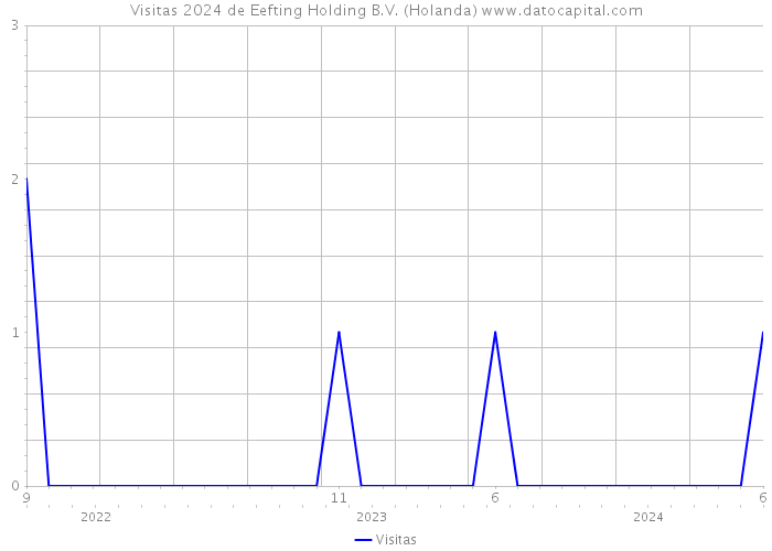 Visitas 2024 de Eefting Holding B.V. (Holanda) 